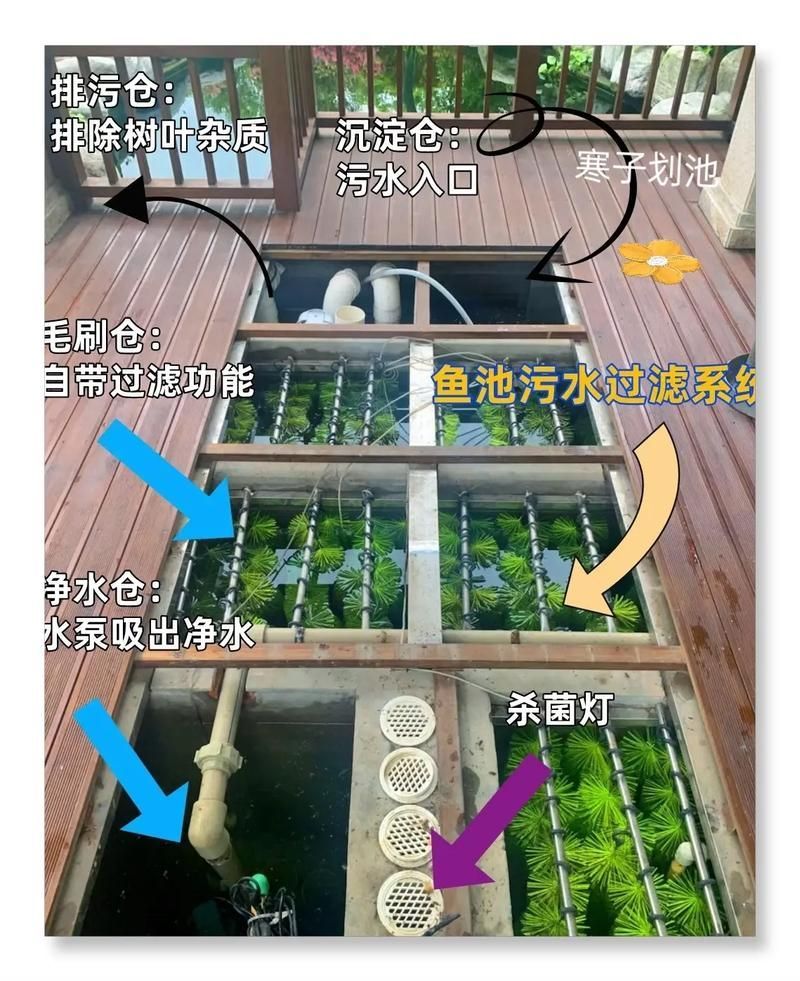 如何預(yù)防錦鯉浮頭，錦鯉浮頭是錦鯉浮頭的科學(xué)成因與系統(tǒng)性預(yù)防措施包括