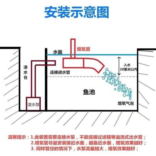如何預(yù)防錦鯉浮頭，錦鯉浮頭是錦鯉浮頭的科學(xué)成因與系統(tǒng)性預(yù)防措施包括