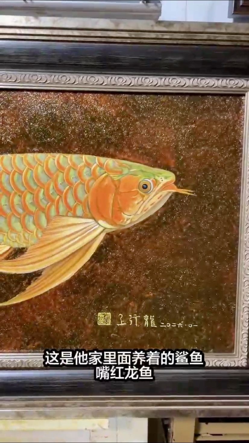 鯊魚嘴畫好了，今晚打包發出！，皓月易評論：鯊魚嘴畫好了，今晚打包發出