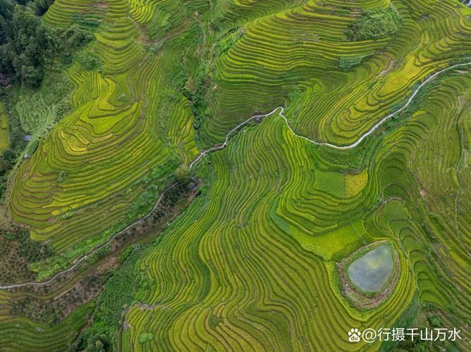 有哪些著名的生龍地形案例，“生龍地形案例詳解“生龍地形”并非地質學術語并非地質學術語