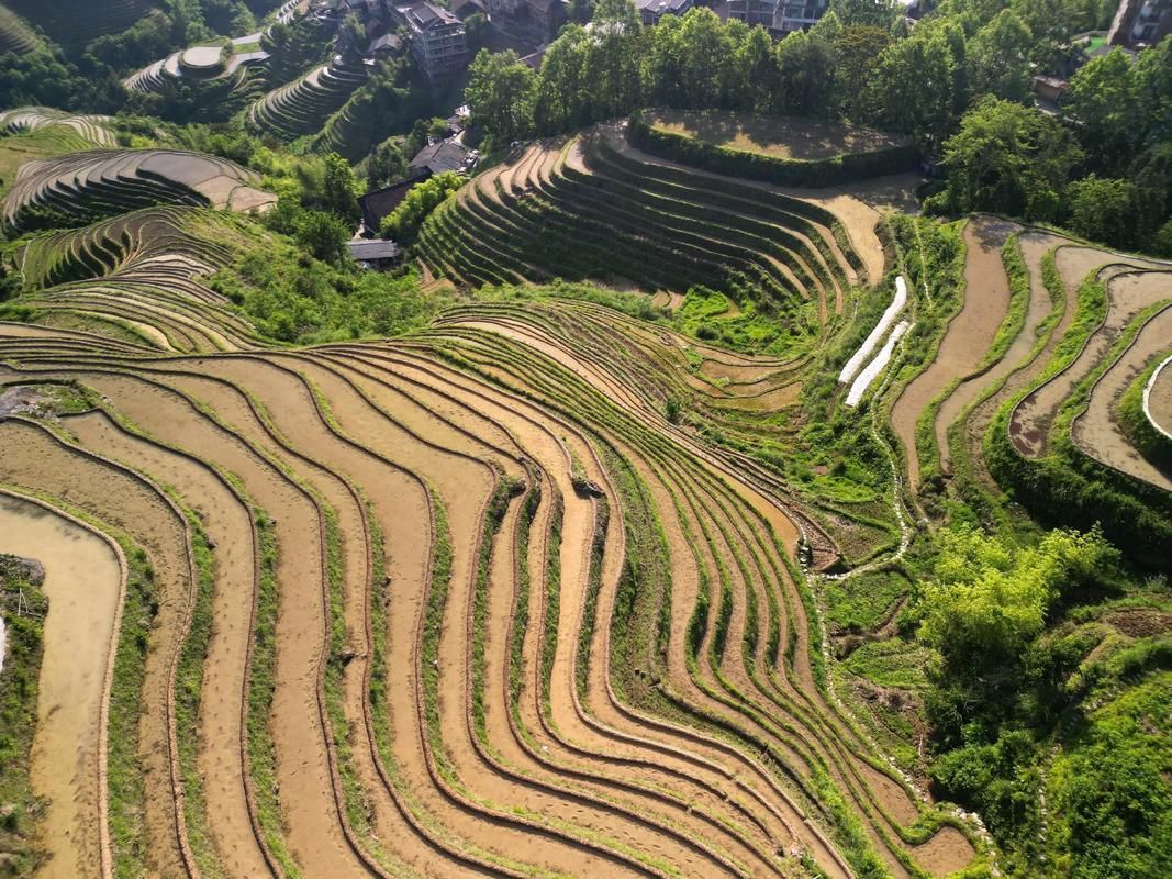 有哪些著名的生龍地形案例，“生龍地形案例詳解“生龍地形”并非地質學術語并非地質學術語