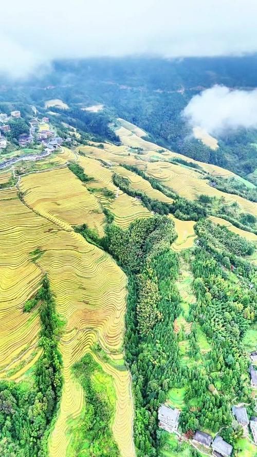 有哪些著名的生龍地形案例，“生龍地形案例詳解“生龍地形”并非地質學術語并非地質學術語