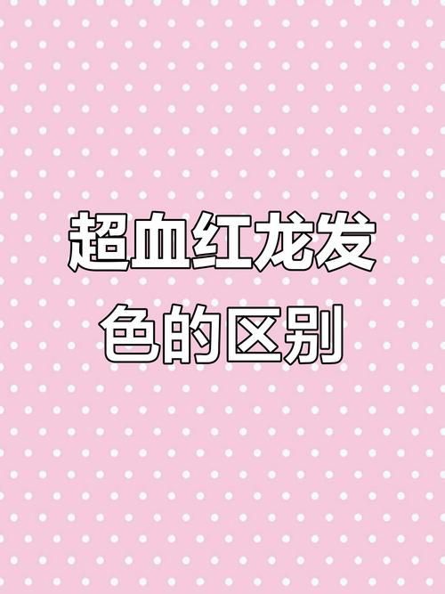 紅龍發色適合膚色調