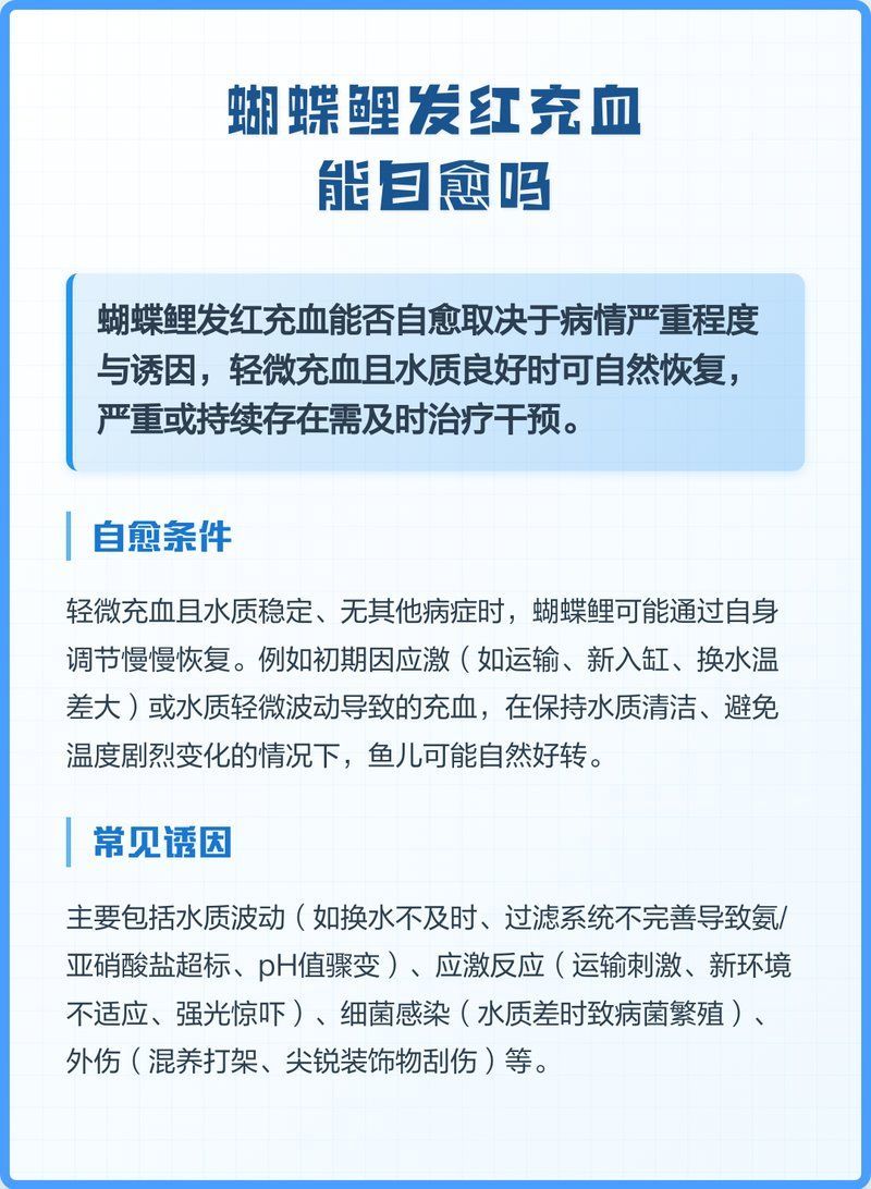 魚鰓充血能自愈嗎，魚鰓充血能否自愈 魚鰓充血能自愈嗎，魚鰓充血能否自愈 龍魚百科 第2張
