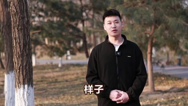 能推薦幾本類似風(fēng)格的小說嗎，《追風(fēng)箏的人》可以根據(jù)您提供的標(biāo)題生成的一段摘要：