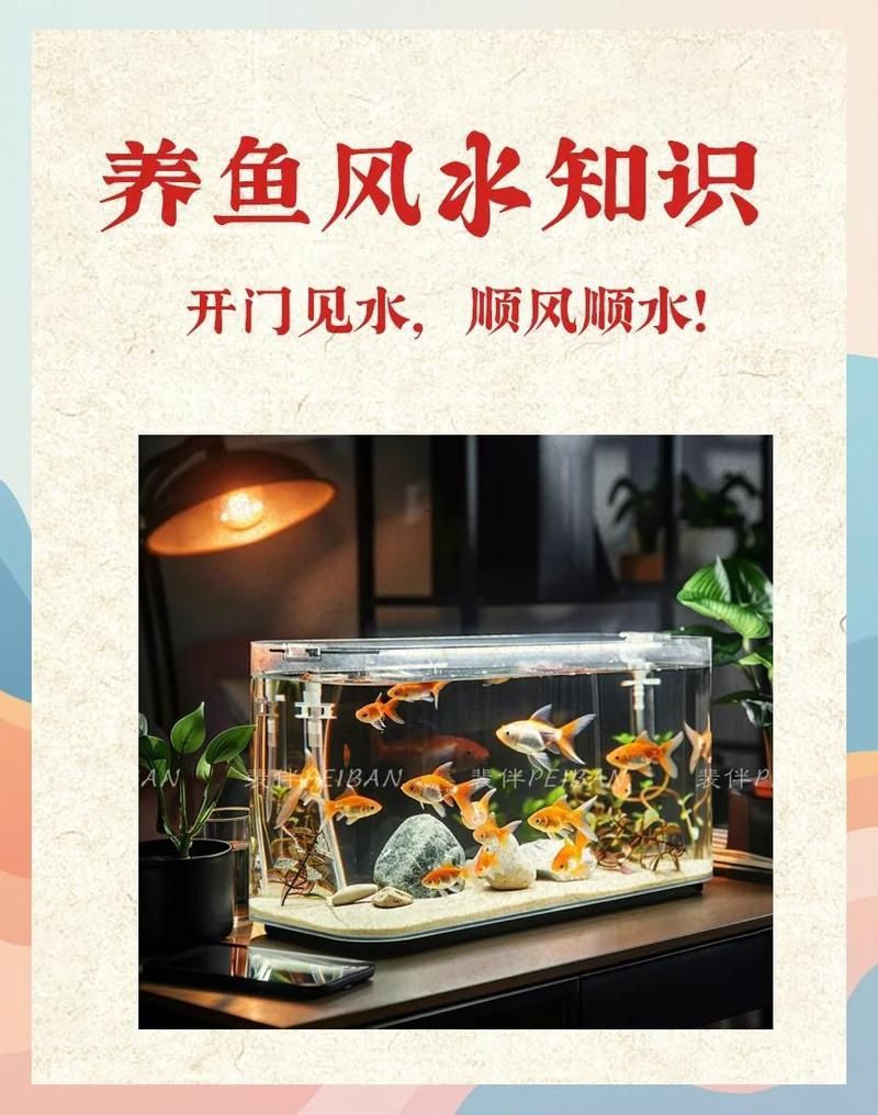 養魚顏色搭配有哪些禁忌，關于養魚顏色搭配的禁忌 養魚顏色搭配有哪些禁忌，關于養魚顏色搭配的禁忌 龍魚百科 第2張