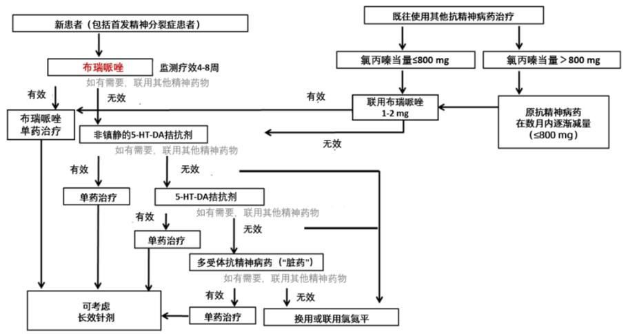能否提供更多藥物治療方案的圖片，如何制作藥物治療方案圖片