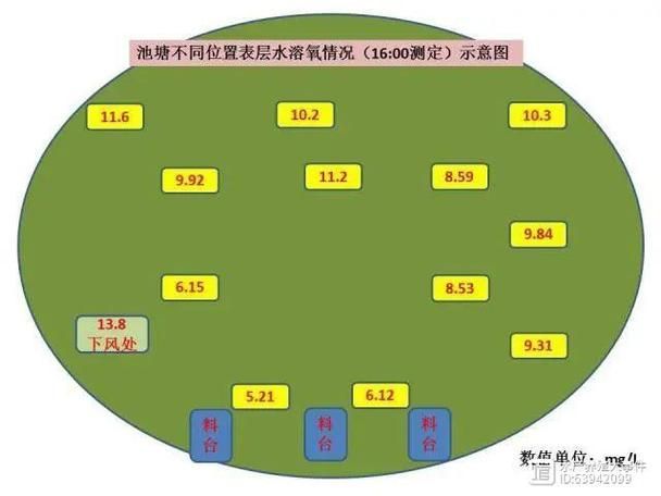 魚塘浮頭后如何恢復(fù)，陜西西安魚塘浮頭恢復(fù)流程圖解（1.5mg/l）