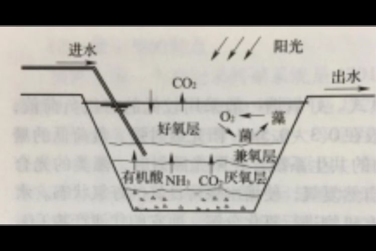 魚塘浮頭后如何恢復(fù)，陜西西安魚塘浮頭恢復(fù)流程圖解（1.5mg/l）