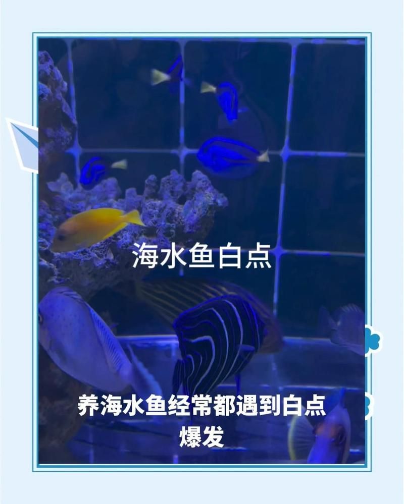 有哪些藥物是海水魚專用但未列出，關于海水魚專用藥