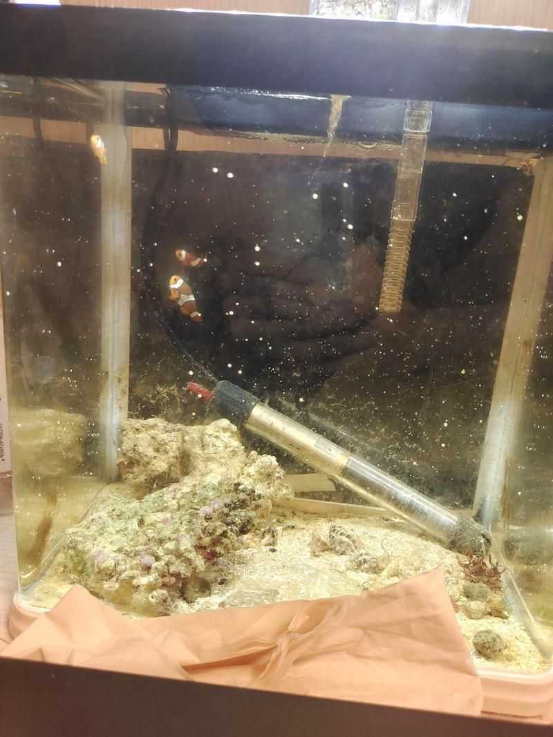 有哪些藥物是海水魚專用但未列出，關于海水魚專用藥