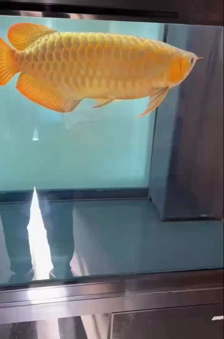 魚缸用增氧泵價格是多少:魚缸增氧機-xtrac增氧機-xtrac增氧機 ,城市發展與環境保護 龍魚論壇 ,城市發展與環境保護 ,城市發展與環境保護 龍魚論壇