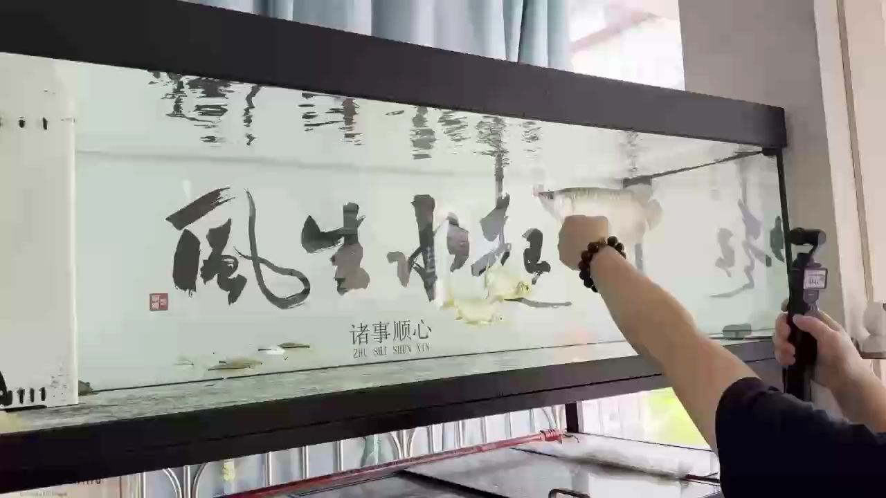，_小金龍?jiān)u論：人工智能在教育領(lǐng)域的應(yīng)用