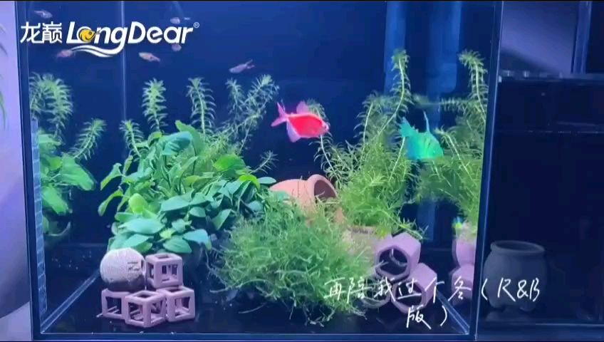 轉發985，“985工程”面臨挑戰