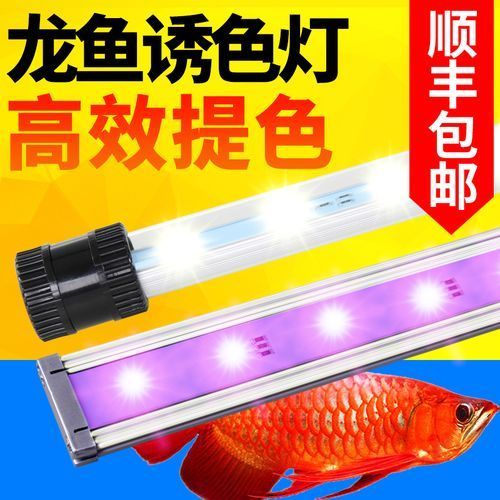 推薦幾款適合紅龍養(yǎng)殖的LED燈，尼特利時(shí)光xpro2025魚缸增艷燈全光譜水草燈 推薦幾款適合紅龍養(yǎng)殖的LED燈，尼特利時(shí)光xpro2025魚缸增艷燈全光譜水草燈 龍魚百科 第3張