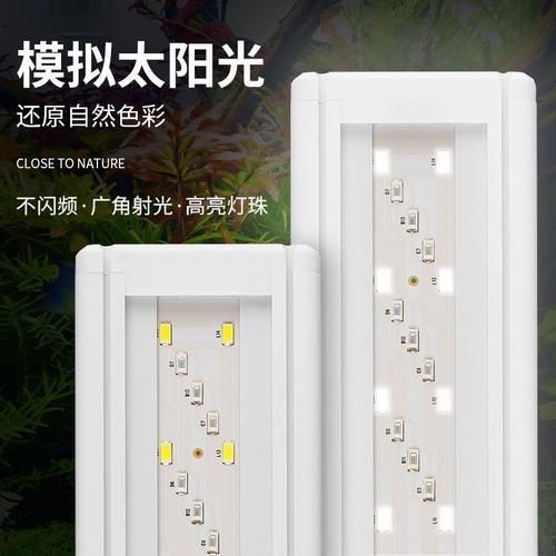 推薦幾款適合紅龍養(yǎng)殖的LED燈，尼特利時(shí)光xpro2025魚缸增艷燈全光譜水草燈 推薦幾款適合紅龍養(yǎng)殖的LED燈，尼特利時(shí)光xpro2025魚缸增艷燈全光譜水草燈 龍魚百科 第4張