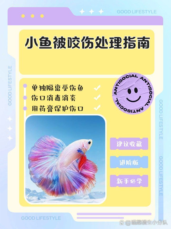 有哪些方法可以治療魚受傷，受傷后如何正確治療魚受傷的嚴重程度以下方法來治療