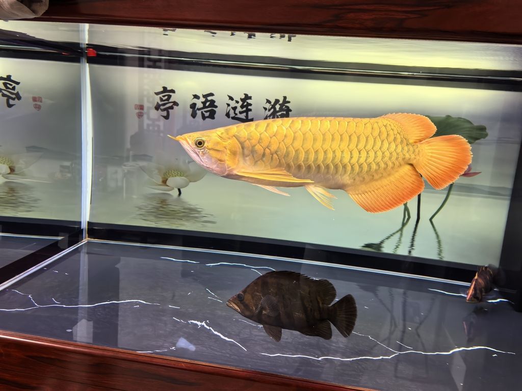 堅持愛好，堅持愛好對于實現個人和社會福祉的長遠影響