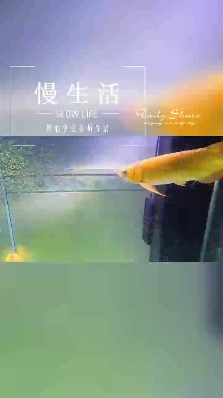 靜養(yǎng)，靜養(yǎng)的藝術與實踐