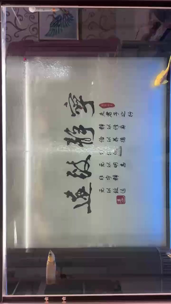 關(guān)燈前，記錄一下，關(guān)燈前的記錄 關(guān)燈前，記錄一下，關(guān)燈前的記錄 龍魚論壇