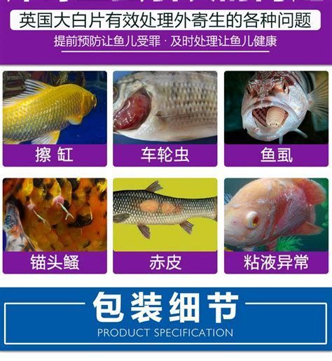 龍魚外寄生蟲治療方法，龍魚體外寄生蟲治療詳解