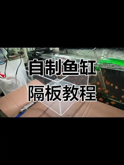 魚咬魚怎么辦最快最有效，中國水產科學研究院指出“1000字+配圖”最快應對方案