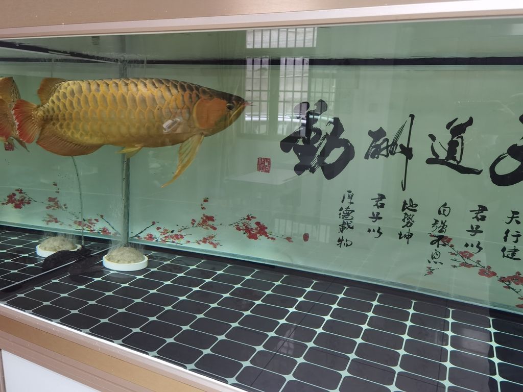 ，ai技術(shù)為醫(yī)療行業(yè)帶來了前所未有的機遇和挑戰(zhàn) ，ai技術(shù)為醫(yī)療行業(yè)帶來了前所未有的機遇和挑戰(zhàn) 龍魚論壇