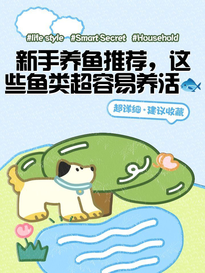 還有哪些魚適合新手飼養，新手養魚的幾種方式