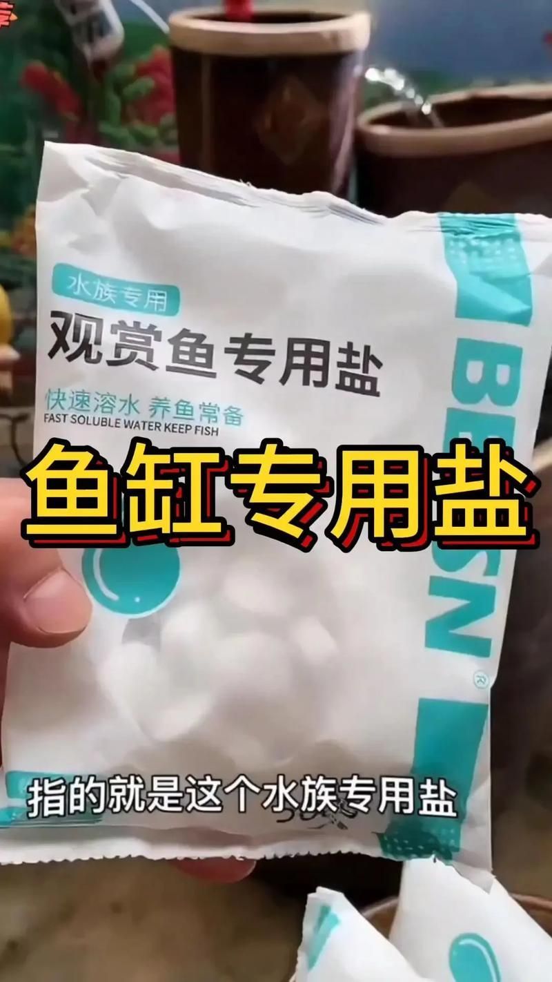 BESSN魚鹽有哪些類型，bessn魚鹽使用指南