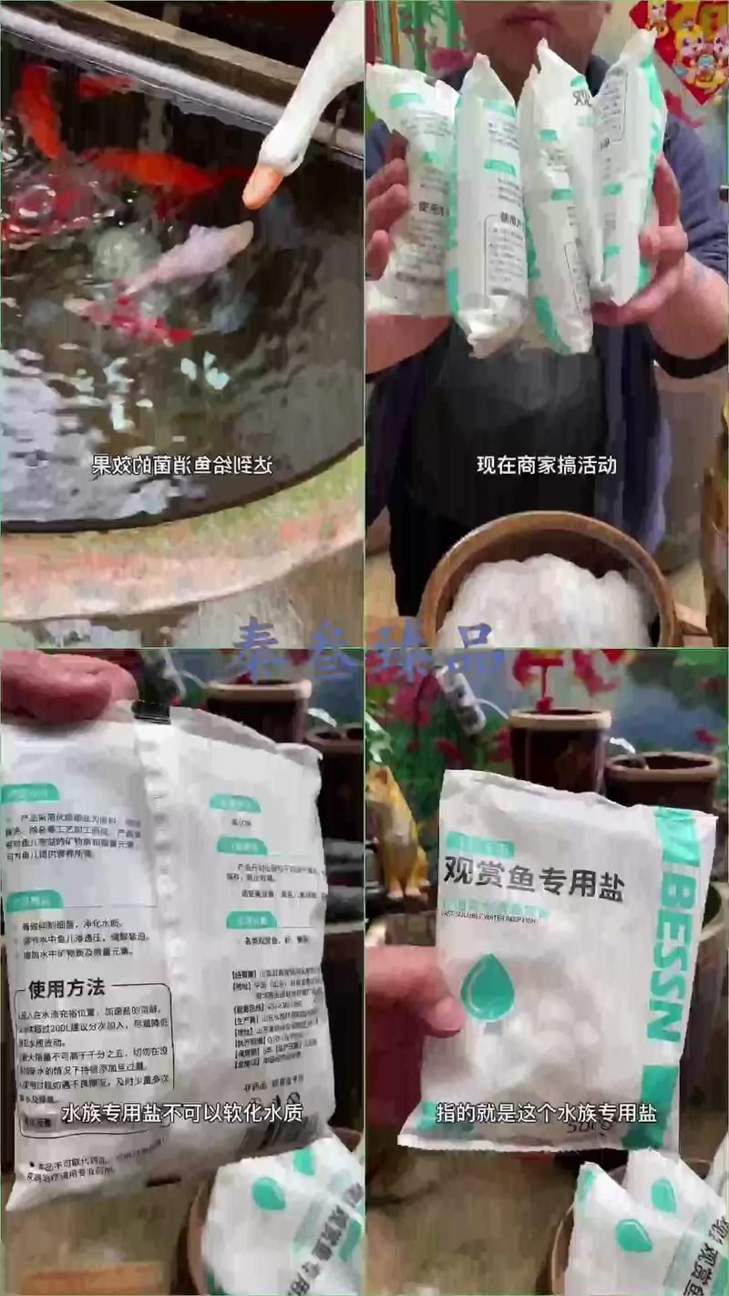 BESSN魚鹽有哪些類型，bessn魚鹽使用指南