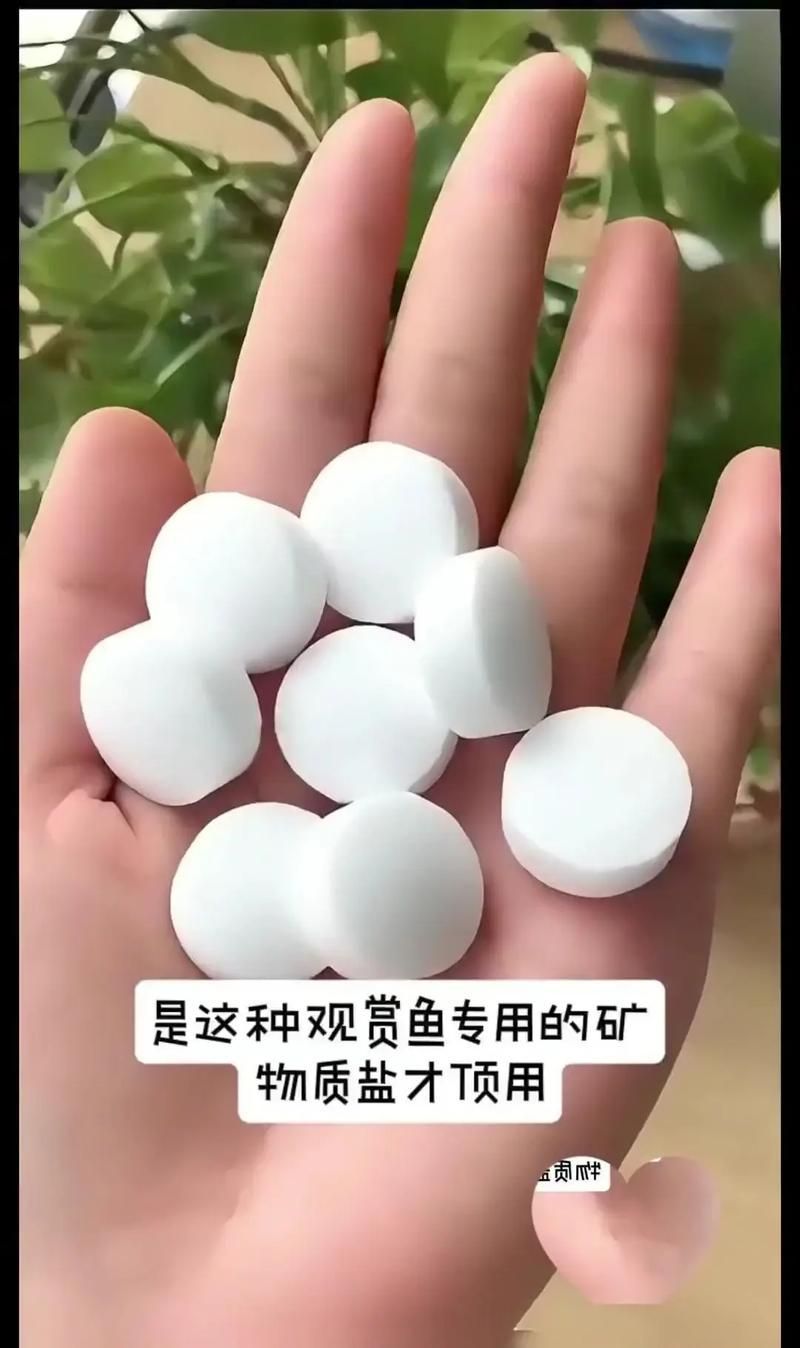 BESSN魚鹽有哪些類型，bessn魚鹽使用指南