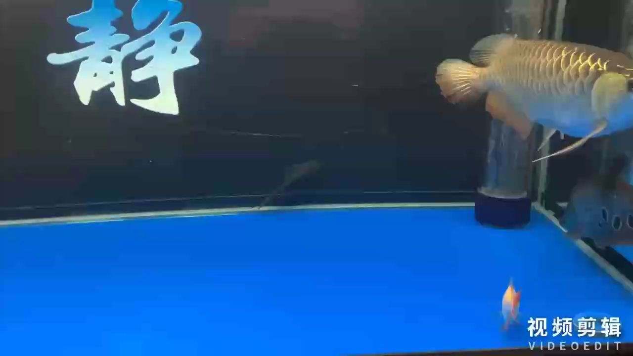 簽到，北京老寧評論：簽到系統在企業中的應用與挑戰，提升管理水平