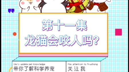 龍貓好養(yǎng)嗎 咬人嗎，龍貓為什么會咬人