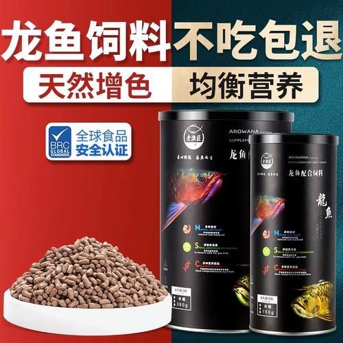 過背金龍魚有哪些飼養要點？，過背金龍魚的飼養要點 過背金龍魚有哪些飼養要點？，過背金龍魚的飼養要點 龍魚百科 第11張