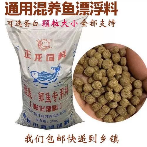 過背金龍魚有哪些飼養要點？，過背金龍魚的飼養要點 過背金龍魚有哪些飼養要點？，過背金龍魚的飼養要點 龍魚百科 第12張