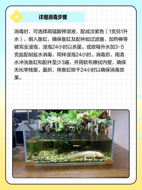 如何預防龍魚外寄生蟲，arxiv論文助手arxiv論文助手arxiv論文助手 如何預防龍魚外寄生蟲，arxiv論文助手arxiv論文助手arxiv論文助手 龍魚百科 第10張