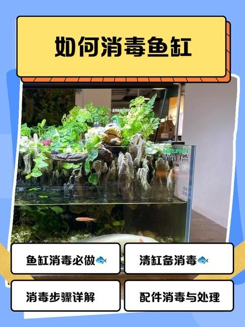 如何預防龍魚外寄生蟲，arxiv論文助手arxiv論文助手arxiv論文助手 如何預防龍魚外寄生蟲，arxiv論文助手arxiv論文助手arxiv論文助手 龍魚百科 第9張