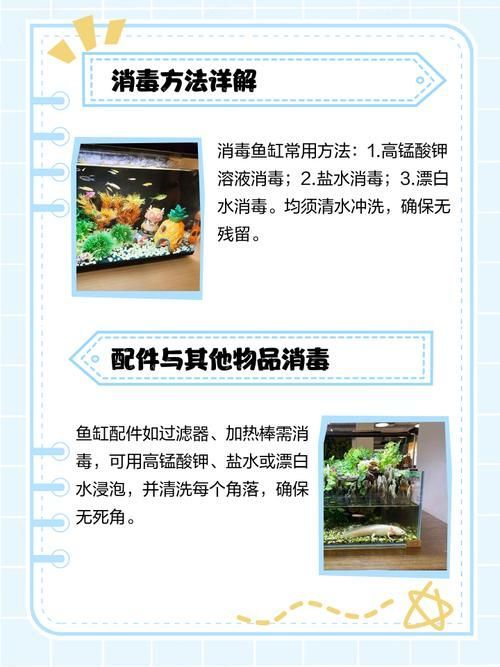 如何預防龍魚外寄生蟲，arxiv論文助手arxiv論文助手arxiv論文助手 如何預防龍魚外寄生蟲，arxiv論文助手arxiv論文助手arxiv論文助手 龍魚百科 第8張