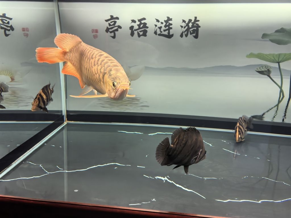 堅持愛好，堅持愛好對個人和社會