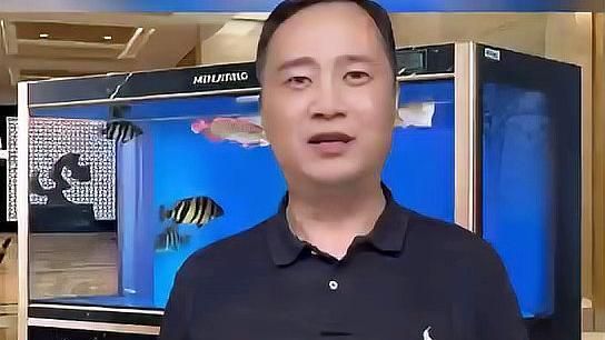 魚眼睛有白膜怎么治用，養魚筆記第2季102集:觀賞魚眼睛白蒙和凸眼