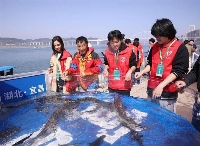 如何保護這些罕見魚類，arxiv論文助手arxiv論文助手（1000字和配圖）