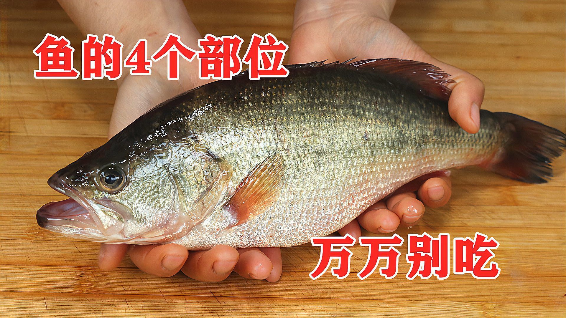 紅龍魚的內(nèi)臟和魚頭可以食用嗎，紅龍魚的內(nèi)臟和魚頭