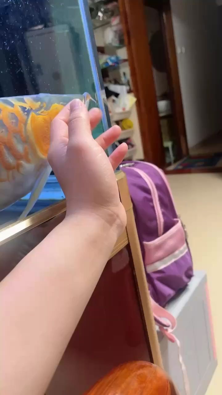 聽一聽以前那條魚的龍吟吧，聽一聽以前那條魚的龍吟吧，本文探討了人類對自然界的感知與理解