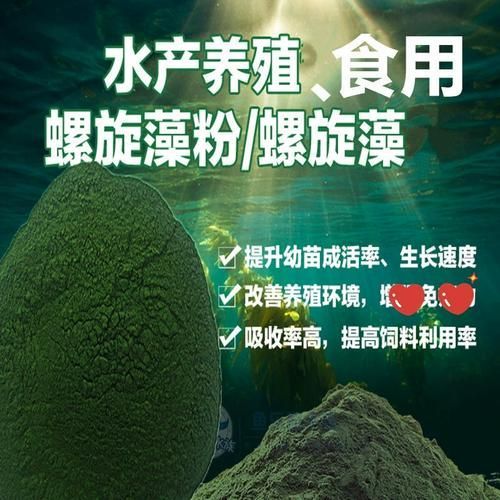 哪些食物有助于魚的自愈，—-—科學營養支持與實踐應用詳解