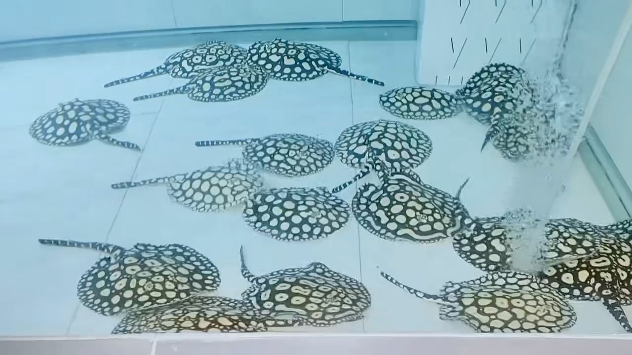 男神，男性魅力的變化趨勢