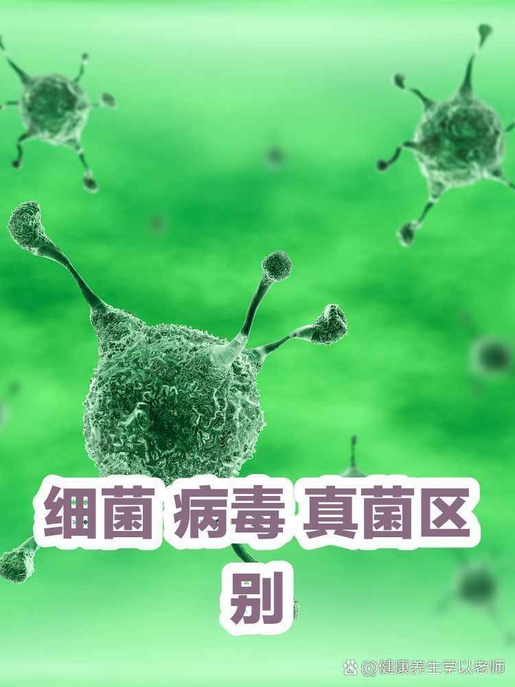 真菌和細菌感染的癥狀有何不同，——真菌感染和細菌感染的區別