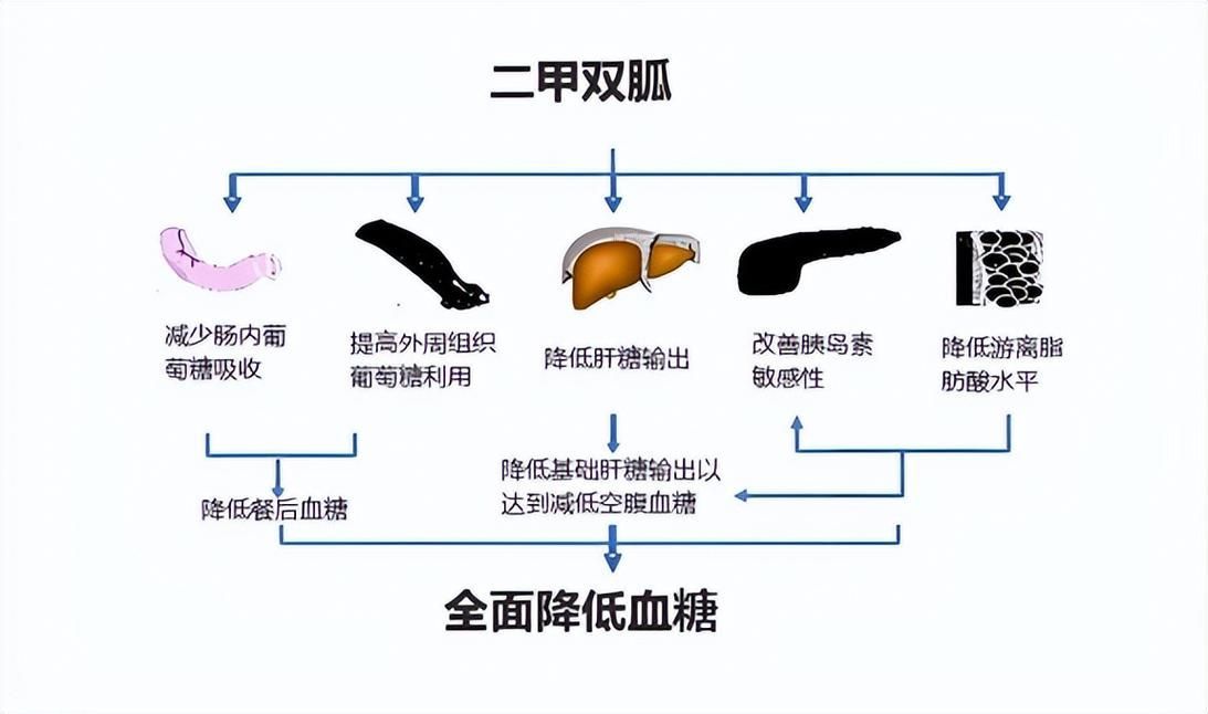 有沒有更簡潔的藥物治療方案，病的革命性治療方案的簡潔性