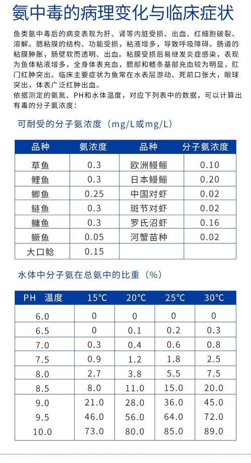 如何預(yù)防金魚爛尾的發(fā)生，如何科學(xué)預(yù)防金魚爛尾病