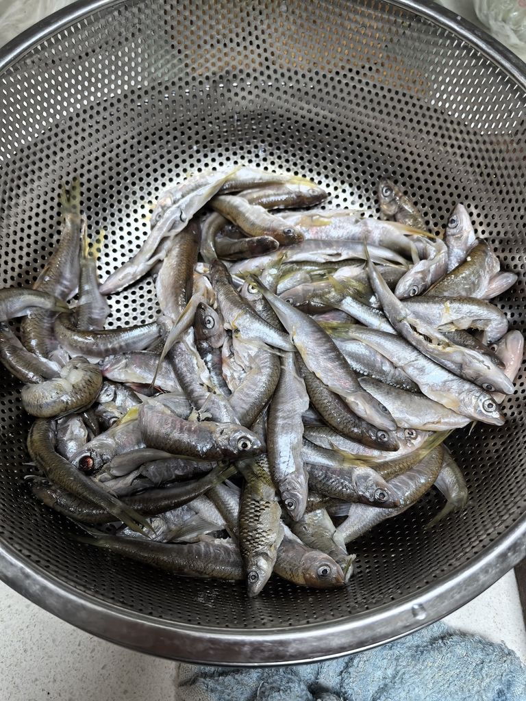 堅持愛好，afa評論：堅持愛好的重要性與實踐方法