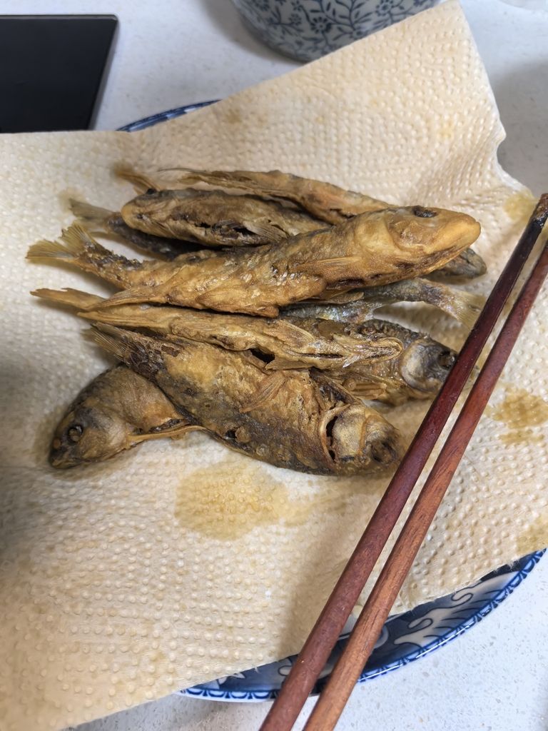 堅持愛好，afa評論：堅持愛好的重要性與實踐方法